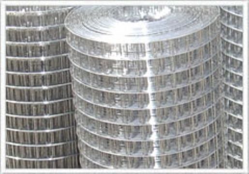 Welded Wire Mesh